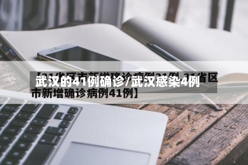 武汉的41例确诊/武汉感染4例