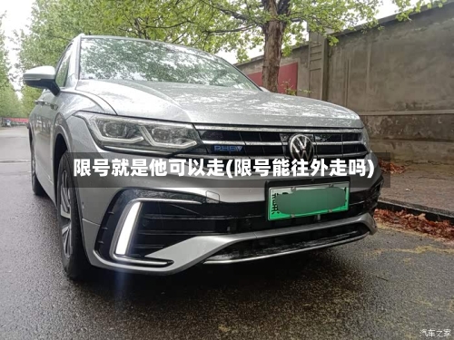 限号就是他可以走(限号能往外走吗)-第1张图片