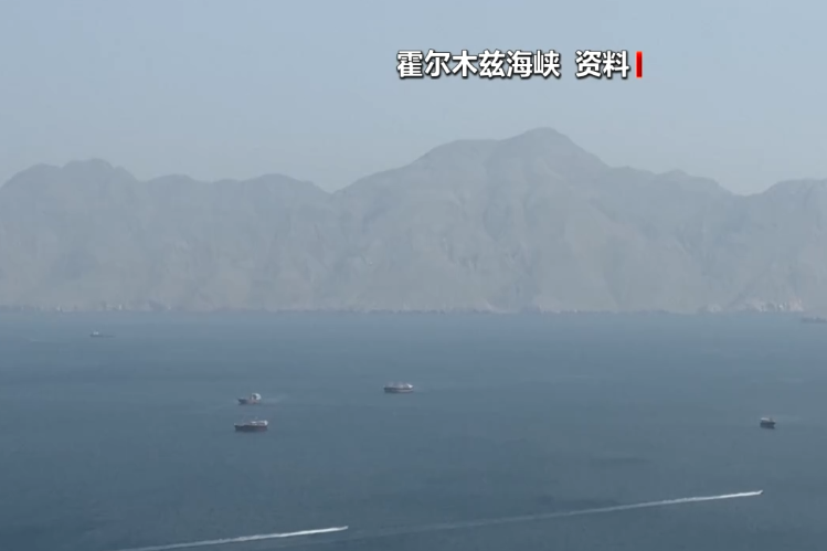 霍尔木兹大消息，伊朗宣布：通行船只须提交申请	，60天内免费，相关费用由伊朗政府承担！德国派军舰前往中东
